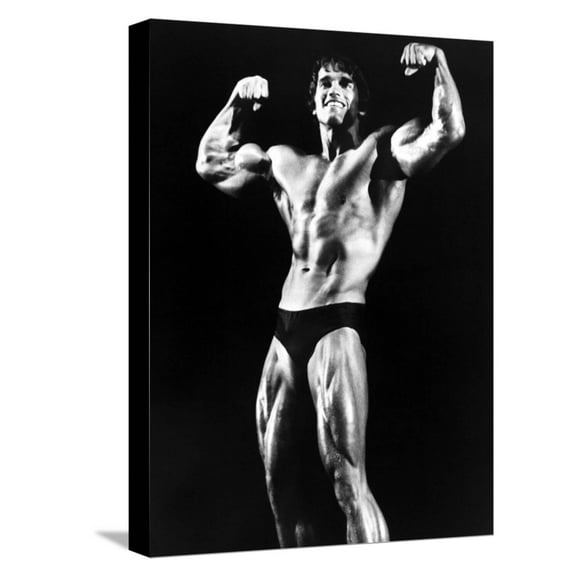 Art.com Stay Hungry, Arnold Schwarzenegger, 1976 Stretched Canvas Print Wall Art, 12" x 16"