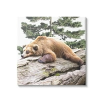 Stupell Sleeping Brown Bear Wildlife Animals & Insects Painting Gallery Wrapped Canvas Print Wall Art