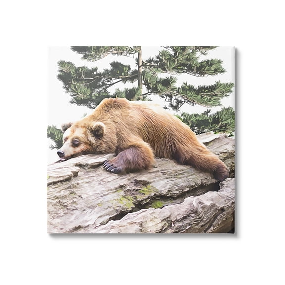 Stupell Sleeping Brown Bear Wildlife Animals & Insects Painting Gallery Wrapped Canvas Print Wall Art