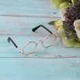 thumbnail image 6 of JWQFBC 1/6 Scale Doll Round Eyeglasses Sunglasses for Dolls Charms Fashion Accessory - Clear, as described, 6 of 7