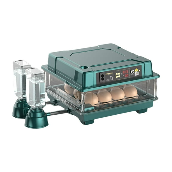 Bird Quail Incubator Poultry Hatchers Automatic Chick Incubator with Regulable for Various Poultry