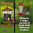 thumbnail image 5 of Pennington Premium Wild Bird Feeder Pole Plus, 5 feet Installed Height, Black, 5 of 14