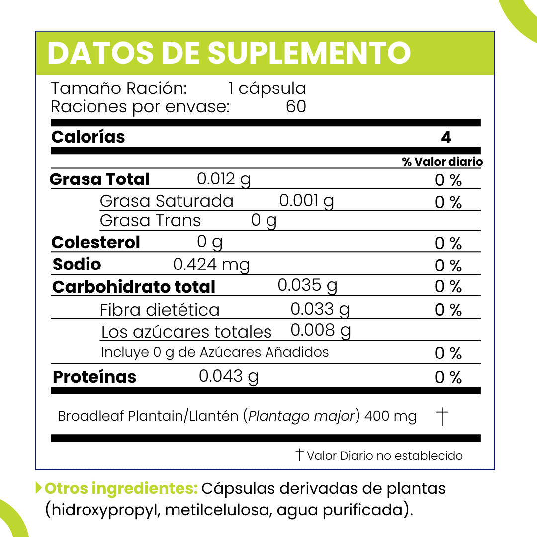 E&D Herbs 60 Plantain  Capsules of 400 MG For Detox