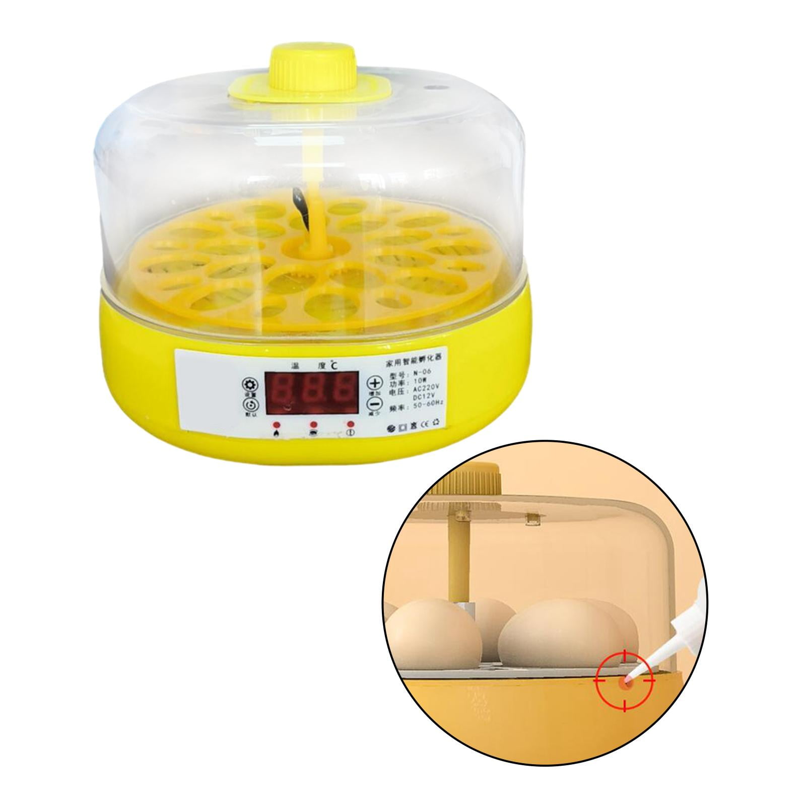 18 Eggs Intelligent Poultry Hatcher Chick Duck Incubator US Adapter for Farm Semi Automatic