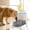 Gray, variant on Neorosiri Automatic Water Feeder for Dogs - Non-Bottle Water Dispenser with Flow Control, Ideal for Food and Water Supply for Pets