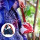 thumbnail image 3 of Monedero de lazo japonés Salvador portátil para niñas Paquete de bathrobe Boda Cosplay Joyería, 3 of 8