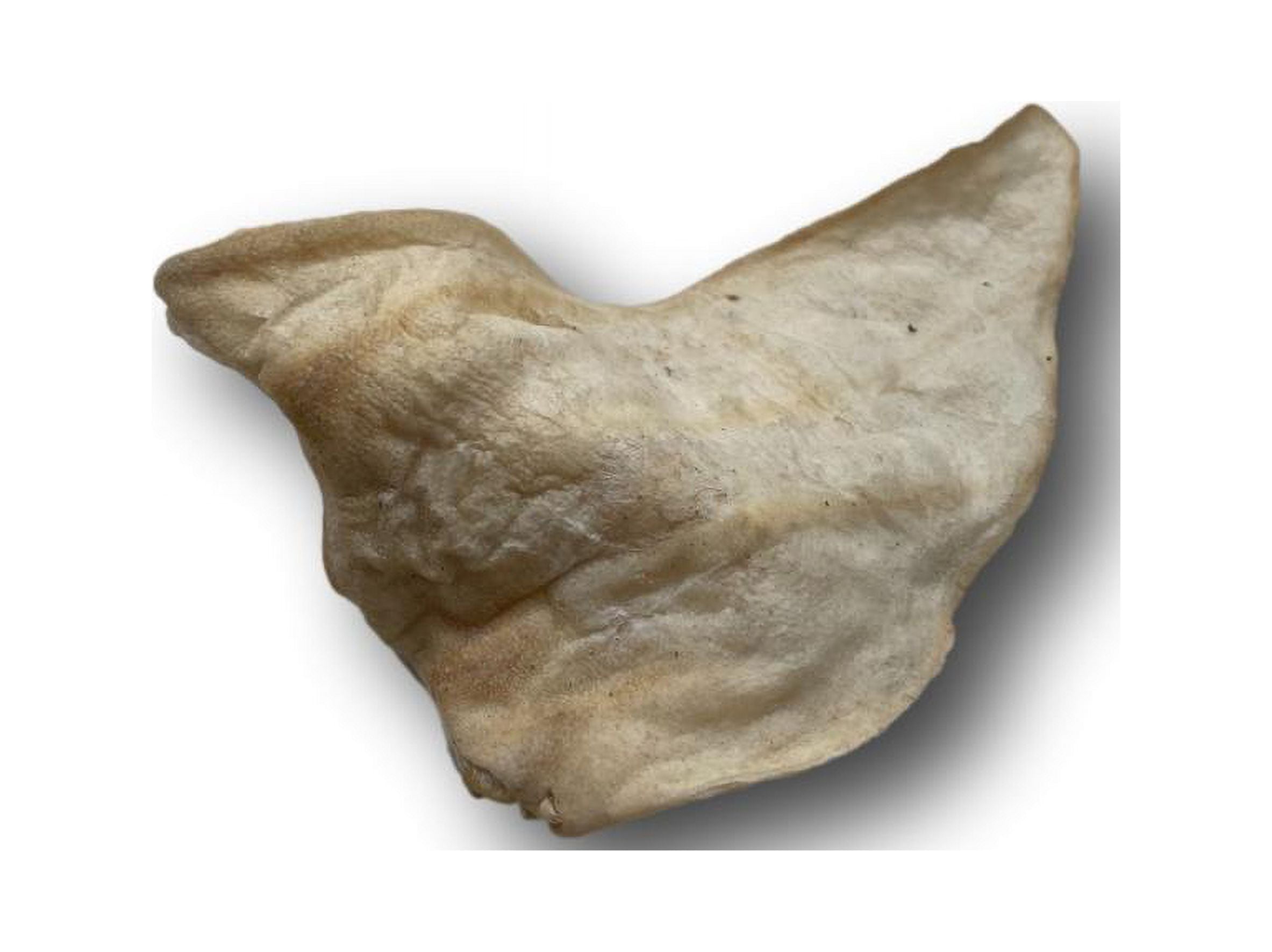 Lamb Ear Dog Treats - All Natural 50 Pack