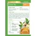 thumbnail image 2 of Traditional Medicinals Tea, Organic Green Tea Ginger, Tea Bags, 16 Count, 2 of 6