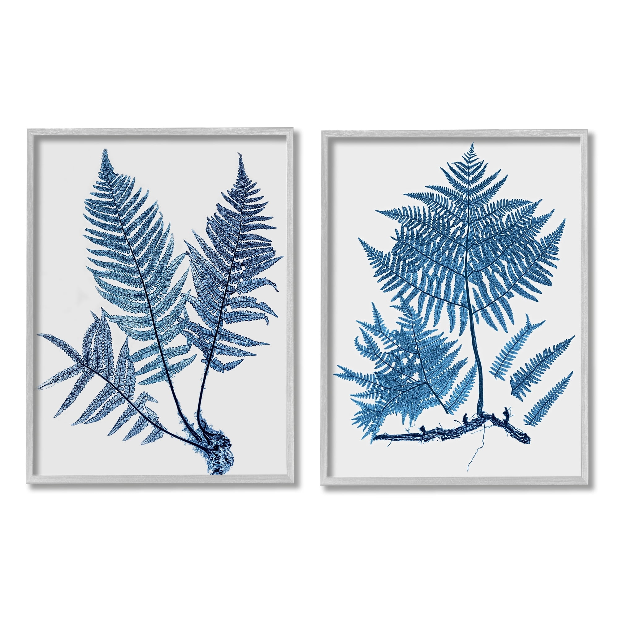 Stupell Industries Bold Blue Ferns Woodland Nature Botanical & Floral Painting Gray Framed Art Print Wall Art, Set of 2