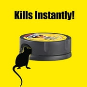 D-Con No View, No Touch Covered Mouse Trap, 2 Traps