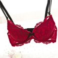thumbnail image 2 of Women's Embroidery Bras Set Lace Lingerie Bra and Panties, 2 of 5