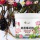 thumbnail image 4 of Aquatic Plant Nutrient Powder For Bowl Water Lily Natural Growth, 4 of 5