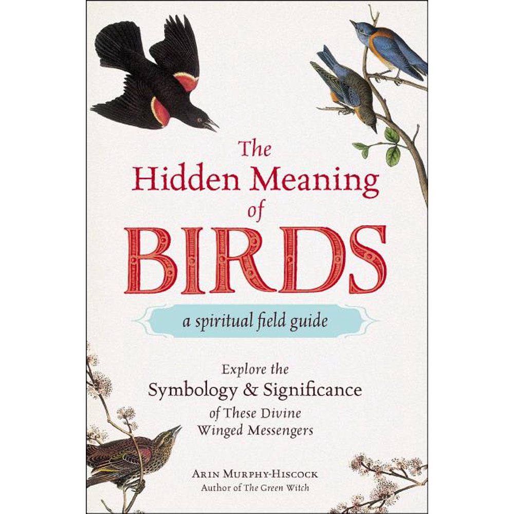 The Hidden Meaning of BirdsA Spiritual Field Guide Explore the Symbology and Significance of