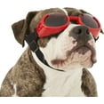 thumbnail image 3 of Doggles ILS Shiny Red Sunglasses, Red, One Size, 3 of 7