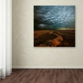 thumbnail image 3 of Franz Schumacher 'Mammatus' Canvas Art, 3 of 3