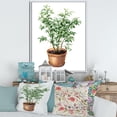 thumbnail image 2 of Designart 'Ficus Benjamina Plant In Clay Flowerpot' Traditional Framed Canvas Wall Art Print, 2 of 5
