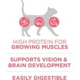 thumbnail image 3 of shiyou-+Plus Dry Kitten Food, Chicken - 1.8 kg Bag, 3 of 4
