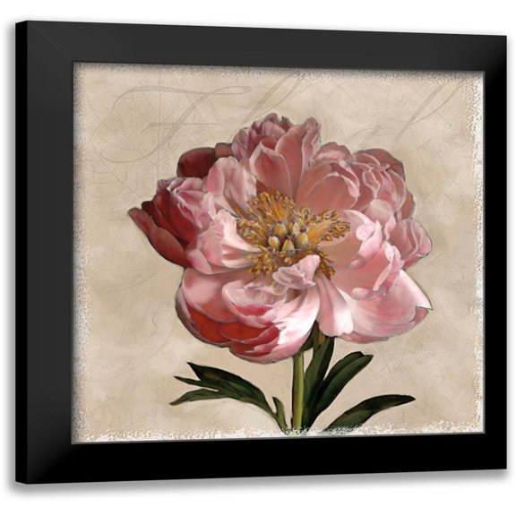 Pahl, Janel 12x12 Black Modern Framed Museum Art Print Titled - Peony I