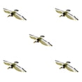 thumbnail image 2 of maskred Life Size Bird Scarer Flying Kite with Light and Sound for Farm Garden Hawk 5Set, 2 of 6