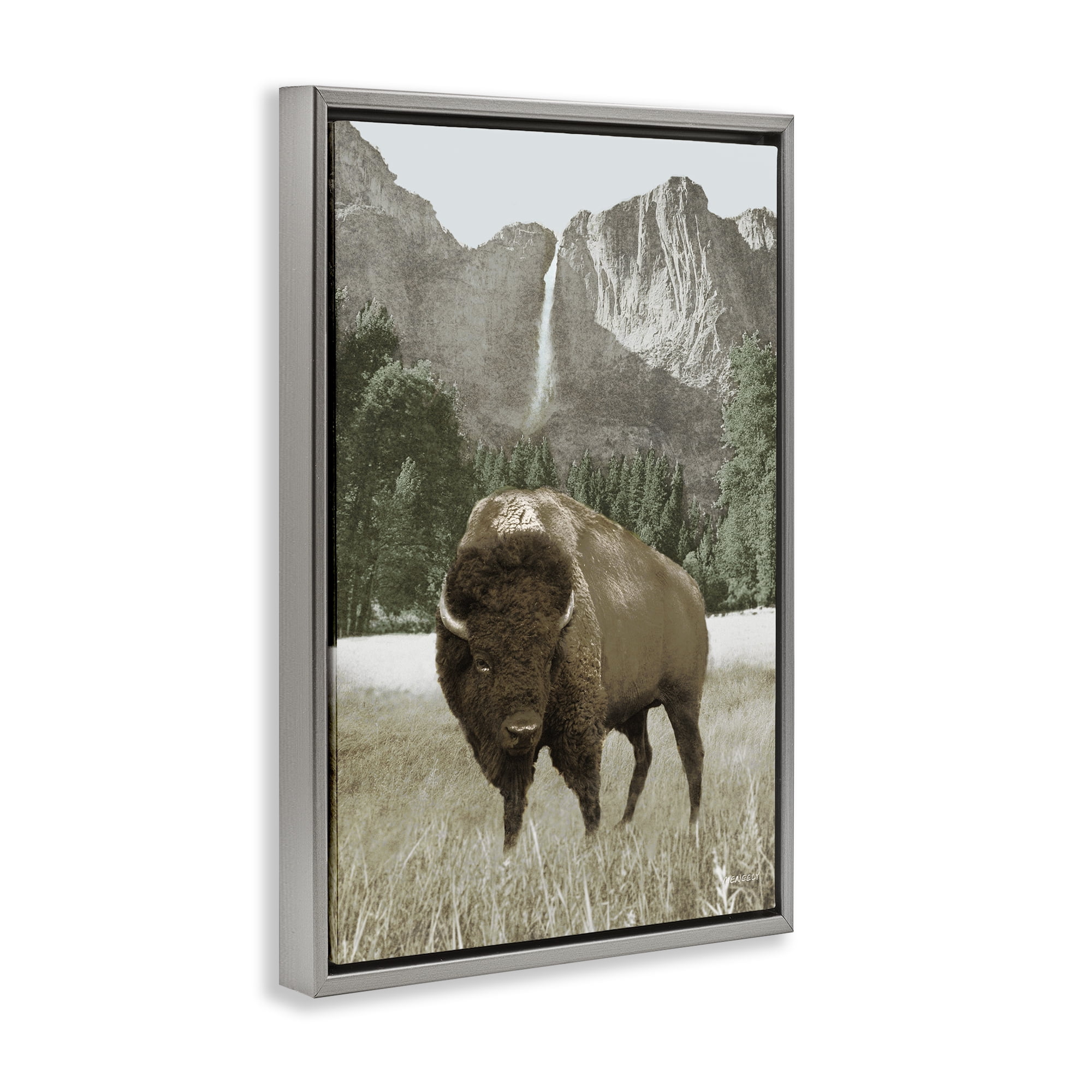 Stupell Industries Bison & Mountain Landscape Animals & Insects Photography Gray Floater Framed Canvas Art Print Wall Art, 21 x 31