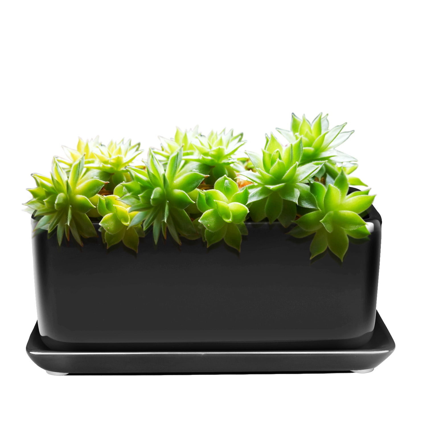 10 Inch Rectangular Ceramic Succulent Planter Pot - Cactus Herb Flower Container Window Box Holder with Removable Drip Tray Base for Tabletop Desktop Indoor Outdoor Home Office Garden (Black)