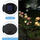 thumbnail image 3 of Solar Garden Decor, Set of 2 Solar Powered Rose Lights for Patio, Walkway, Red Yard Decor, 3 of 4