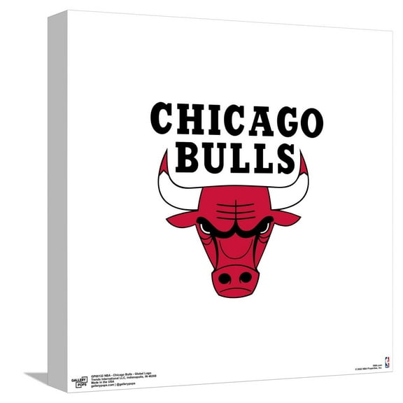 Gallery Pops NBA Chicago Bulls - Global Logo Canvas Wall Art, Unframed Version, 12" x 12"