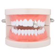 thumbnail image 4 of Single Teeth Grillz Cap Set Decorative Bottom Grill Rhinestone Top Teeth Grillz, 4 of 10