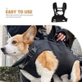 thumbnail image 3 of unbranded Bolsa Para Con Ventilación Para Senderismo Y Paseos En Negro, 3 of 8