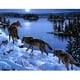 thumbnail image 1 of Taladro Diamante Pintura (DE3457) 5D DIY Animales completos Kit de punto de cruz Arte de la pared (W286) 20X30cm FLhrweasw Nuevo, 1 of 1