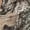 Brown Camo Hunting, variant on Rainbow Heart Print Short Sleeve Capri Nightgowns for Women LGBT Pride Capri Pajama Sets Lightweight Crew Neck Sleepwear with Pockets
