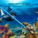 thumbnail image 2 of Puntero de varilla Sincero para hacer ruido de buceo Azul real, 2 of 10