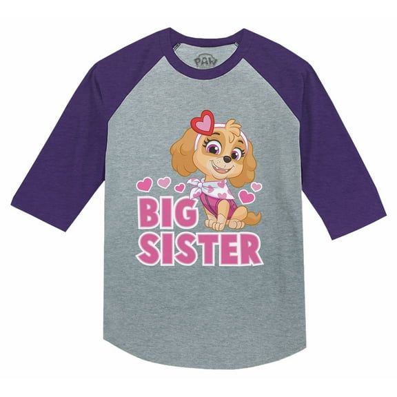 Paw Patrol Skye Big Sister Shirt Girls 3/4 Sleeve Baseball Jersey Toddler Shirt 5T Purple