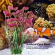 thumbnail image 3 of Simulation Plastic Vivid Artificial Coral Plant, Non- Toxic 23.62 Inch Height Water Plant Ornament Aquarium Ornament Plastic Coral, For Fish Tank Aquaridum ANGGREK No, 3 of 7