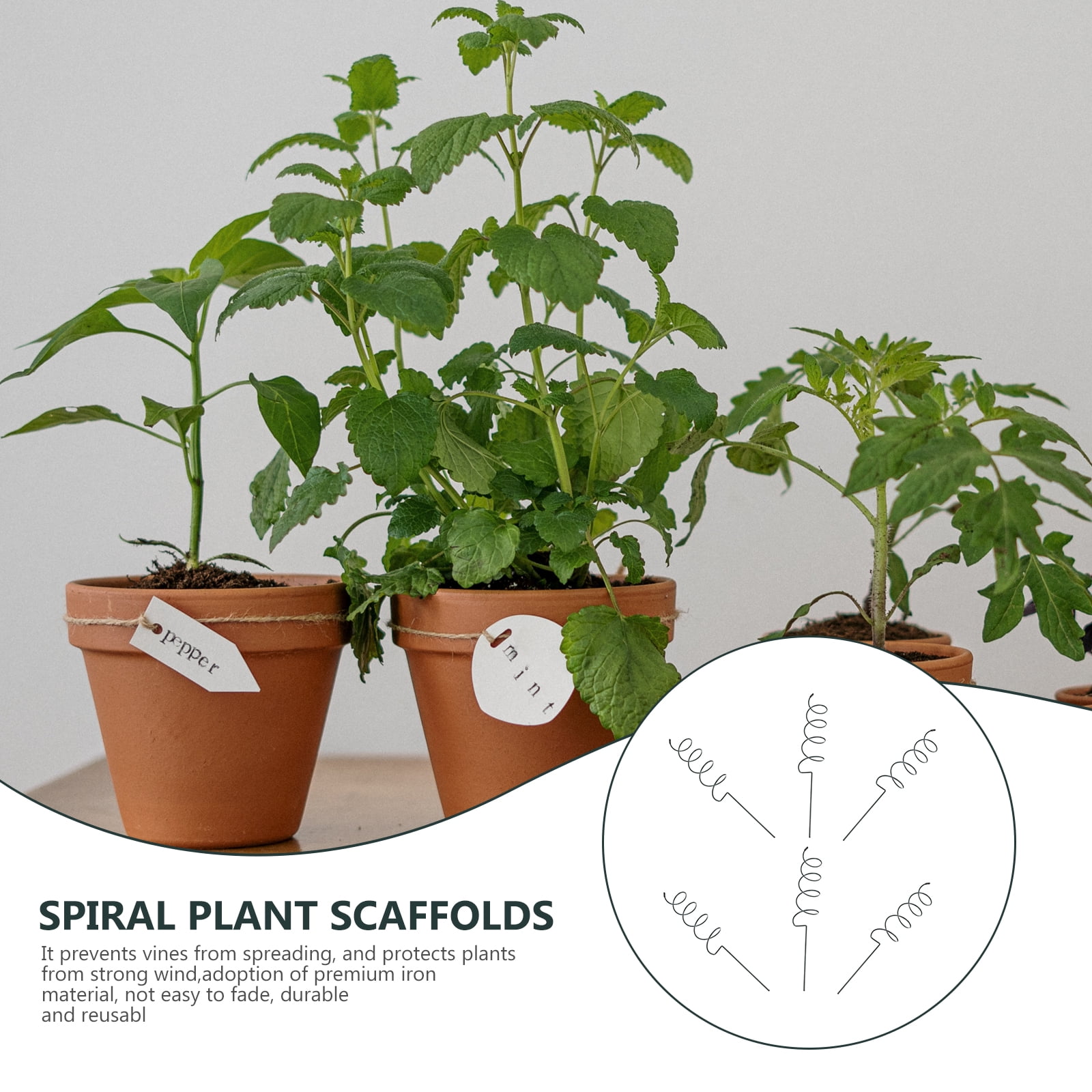 FOLOYORI 6Pcs Durable Green Iron Spiral Plant Support Stakes for Potted Plants and Climbing Vines