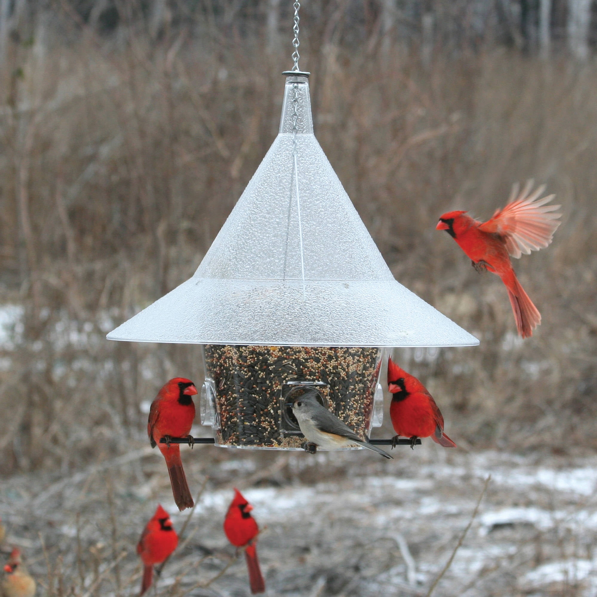 Arundale Mandarin Birdfeeder by ARUNDALE PRODUCTS