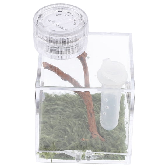 LULULION Jumping Spider Habitat Box Transparent Acrylic and Wood for Home Use