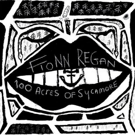 Fionn Regan - 100 Acres Of Sycamore - Music & Performance - Vinyl