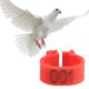 thumbnail image 3 of 100 unids/bolsa 8MM 001-100 bandas de plástico numeradas para patas de pájaro, anillos, gallina, Paloma, pata, aves de corral, paloma, pájaro, pollitos, loro, Clip, anillos, banda (rojo), 3 of 5