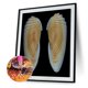 thumbnail image 2 of Cuadros Decorativos 5D bricolaje ronda completa taladro diamante pintura playa Shell Kit decoración del hogar (w1142) Wdftyju  de costura negro 4 estilos, 2 of 9