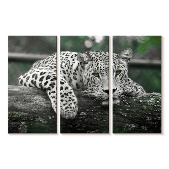 Elephant Stock Green Eyed Jaguar Wall Art - Horizontal Multi Panel Canvas - Living Room Wall Decor - Animal Multi Panel - Green And White Decor - 23" x 14"