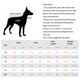 thumbnail image 4 of Camisetas protectoras solares para perros, camisetas elásticas suaves de secado rápido para perros, camisetas sin mangas, ropa para perros pequeños, 4 of 5