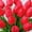 red, variant on Tulips Artifical Flowers Real Touch Faux Tulip Stems PU Tulip Bouquet for Home Office Easter Spring Wreath Wedding Centerpiece Floral Arrangement Cemetery Table Decor