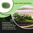 thumbnail image 4 of Moyic Adorno de terrario Diorama Supplies Faux Moss Semi-handmade Surtido Green-cover Decoración del hogar Nº 50 4*5cm Moyic HA060677-02B, 4 of 6