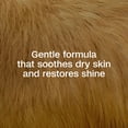 thumbnail image 3 of Shampoo antipulgas y antigarrapatas ADAMS Plus 473 ml para mascotas, 3 of 9