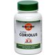 thumbnail image 1 of Suplemento Maitake Mushroom Wisdom Super Coriolus 120 comprimidos, 1 of 1