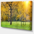 thumbnail image 2 of Sunny Park with Oak Panorama - Large Landscape Canvas Art, 2 of 4