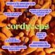 thumbnail image 2 of Cordyceps 100 g en Polvo GLOW Superfoods, 2 of 3
