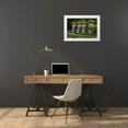 thumbnail image 3 of Flaherty, Dennis 14x11 White Modern Wood Framed Museum Art Print Titled - Austria, Salzburg Flower pots at Mirabell Palace, 3 of 4