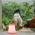 thumbnail image 4 of FENGGUIQU 4Ud Alimentador Para Pollos Multifuncional Con Transparente Fácil De Usar, 4 of 8